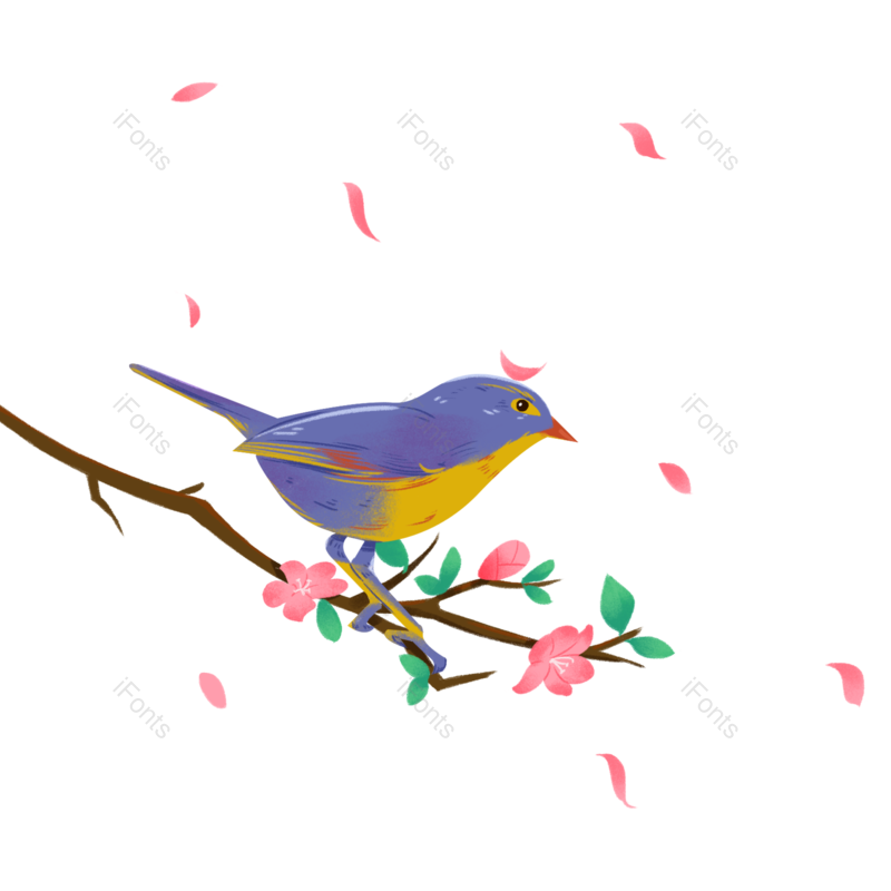 边框图片,树枝元素,花瓣PNG,樱花免抠素材